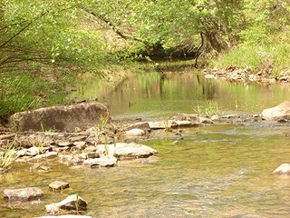 Property photo 5 - LAND AUCTION - 1,976+/- ACRES OFFERED IN 13 TRACTS IN PITTSBURGH & HASKELL COUNTIES, OKLAHOMA