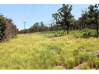 Property photo 11 - LAND AUCTION - 1,976+/- ACRES OFFERED IN 13 TRACTS IN PITTSBURGH & HASKELL COUNTIES, OKLAHOMA