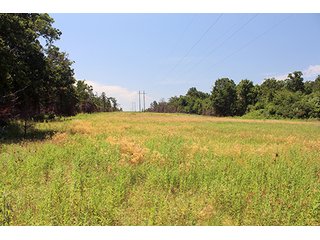 Property photo 17 - LAND AUCTION - 1,976+/- ACRES OFFERED IN 13 TRACTS IN PITTSBURGH & HASKELL COUNTIES, OKLAHOMA