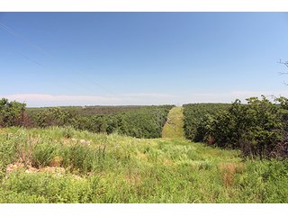 Property photo 19 - LAND AUCTION - 1,976+/- ACRES OFFERED IN 13 TRACTS IN PITTSBURGH & HASKELL COUNTIES, OKLAHOMA