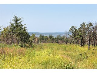 Property photo 21 - LAND AUCTION - 1,976+/- ACRES OFFERED IN 13 TRACTS IN PITTSBURGH & HASKELL COUNTIES, OKLAHOMA
