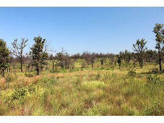 Property photo 22 - LAND AUCTION - 1,976+/- ACRES OFFERED IN 13 TRACTS IN PITTSBURGH & HASKELL COUNTIES, OKLAHOMA
