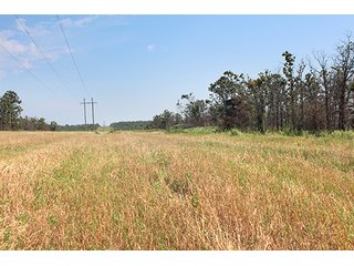 Property photo 23 - LAND AUCTION - 1,976+/- ACRES OFFERED IN 13 TRACTS IN PITTSBURGH & HASKELL COUNTIES, OKLAHOMA