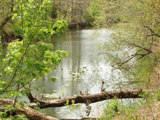 Property photo 47 - LAND AUCTION - 1,976+/- ACRES OFFERED IN 13 TRACTS IN PITTSBURGH & HASKELL COUNTIES, OKLAHOMA
