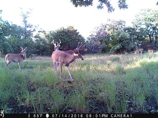 Property photo 45 - LAND AUCTION - 1,976+/- ACRES OFFERED IN 13 TRACTS IN PITTSBURGH & HASKELL COUNTIES, OKLAHOMA