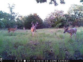 Property photo 39 - LAND AUCTION - 1,976+/- ACRES OFFERED IN 13 TRACTS IN PITTSBURGH & HASKELL COUNTIES, OKLAHOMA