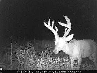 Property photo 38 - LAND AUCTION - 1,976+/- ACRES OFFERED IN 13 TRACTS IN PITTSBURGH & HASKELL COUNTIES, OKLAHOMA