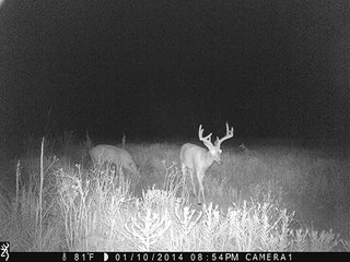 Property photo 36 - LAND AUCTION - 1,976+/- ACRES OFFERED IN 13 TRACTS IN PITTSBURGH & HASKELL COUNTIES, OKLAHOMA