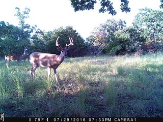 Property photo 37 - LAND AUCTION - 1,976+/- ACRES OFFERED IN 13 TRACTS IN PITTSBURGH & HASKELL COUNTIES, OKLAHOMA