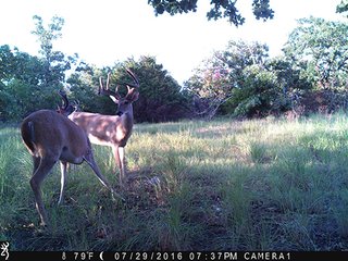 Property photo 44 - LAND AUCTION - 1,976+/- ACRES OFFERED IN 13 TRACTS IN PITTSBURGH & HASKELL COUNTIES, OKLAHOMA