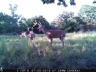 Property photo 40 - LAND AUCTION - 1,976+/- ACRES OFFERED IN 13 TRACTS IN PITTSBURGH & HASKELL COUNTIES, OKLAHOMA