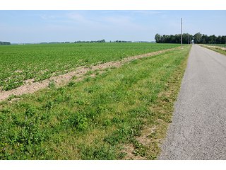 Property photo 22 - PRIME CENTRAL INDIANA FARMLAND AUCTION - 397+/- ACRES OFFERED IN 5 TRACTS IN CASS COUNTY, INDIANA