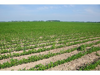 Property photo 2 - PRIME CENTRAL INDIANA FARMLAND AUCTION - 397+/- ACRES OFFERED IN 5 TRACTS IN CASS COUNTY, INDIANA