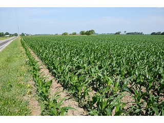Property photo 1 - PRIME CENTRAL INDIANA FARMLAND AUCTION - 397+/- ACRES OFFERED IN 5 TRACTS IN CASS COUNTY, INDIANA