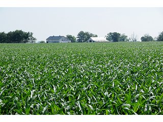 Property photo 29 - PRIME CENTRAL INDIANA FARMLAND AUCTION - 397+/- ACRES OFFERED IN 5 TRACTS IN CASS COUNTY, INDIANA