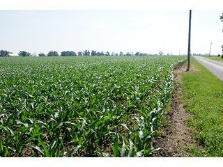 Property photo 9 - PRIME CENTRAL INDIANA FARMLAND AUCTION - 397+/- ACRES OFFERED IN 5 TRACTS IN CASS COUNTY, INDIANA