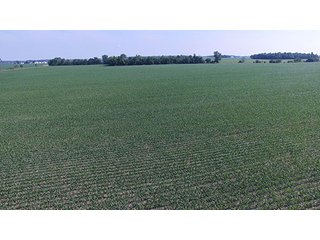 Property photo 33 - PRIME CENTRAL INDIANA FARMLAND AUCTION - 397+/- ACRES OFFERED IN 5 TRACTS IN CASS COUNTY, INDIANA
