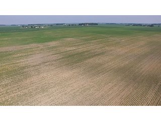 Property photo 16 - PRIME CENTRAL INDIANA FARMLAND AUCTION - 397+/- ACRES OFFERED IN 5 TRACTS IN CASS COUNTY, INDIANA