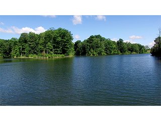 Tracts 20 & 21 - LAND AUCTION - 604+/- ACRES OFFERED IN 24 TRACTS IN MORGAN COUNTY, INDIANA