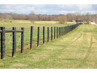 Property photo 66 - LAND AUCTION - 604+/- ACRES OFFERED IN 24 TRACTS IN MORGAN COUNTY, INDIANA
