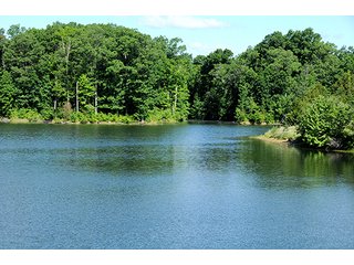 Tract 20 - LAND AUCTION - 604+/- ACRES OFFERED IN 24 TRACTS IN MORGAN COUNTY, INDIANA