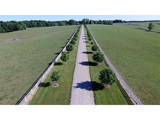 Tract 24 - LAND AUCTION - 604+/- ACRES OFFERED IN 24 TRACTS IN MORGAN COUNTY, INDIANA