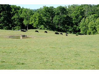 Tract 24 - LAND AUCTION - 604+/- ACRES OFFERED IN 24 TRACTS IN MORGAN COUNTY, INDIANA