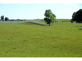Tract 24 - LAND AUCTION - 604+/- ACRES OFFERED IN 24 TRACTS IN MORGAN COUNTY, INDIANA