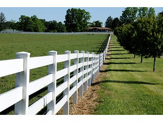 Tract 24 - LAND AUCTION - 604+/- ACRES OFFERED IN 24 TRACTS IN MORGAN COUNTY, INDIANA