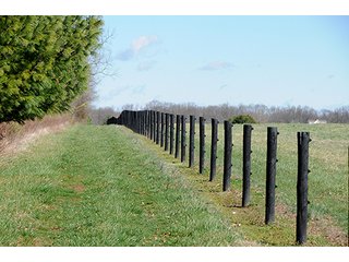 Tract 5 - LAND AUCTION - 604+/- ACRES OFFERED IN 24 TRACTS IN MORGAN COUNTY, INDIANA