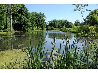 Tract 5 - LAND AUCTION - 604+/- ACRES OFFERED IN 24 TRACTS IN MORGAN COUNTY, INDIANA