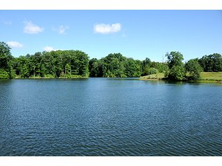 Tract 8 - LAND AUCTION - 604+/- ACRES OFFERED IN 24 TRACTS IN MORGAN COUNTY, INDIANA