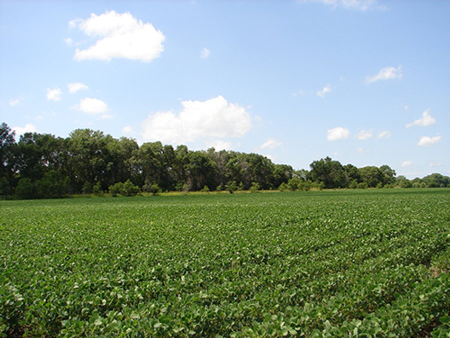 NEBRASKA LAND AUCTION - 723+/- ACRES OFFERED IN 5 TRACTS IN HOWARD COUNTY, NEBRASKA
