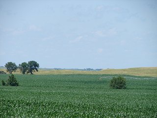 Property photo 3 - NEBRASKA LAND AUCTION - 723+/- ACRES OFFERED IN 5 TRACTS IN HOWARD COUNTY, NEBRASKA