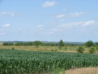 Property photo 5 - NEBRASKA LAND AUCTION - 723+/- ACRES OFFERED IN 5 TRACTS IN HOWARD COUNTY, NEBRASKA