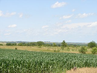 Property photo 2 - NEBRASKA LAND AUCTION - 723+/- ACRES OFFERED IN 5 TRACTS IN HOWARD COUNTY, NEBRASKA