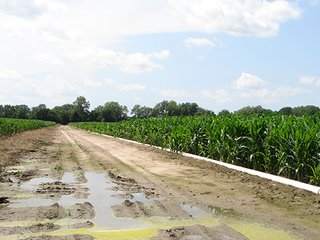 Property photo 20 - NEBRASKA LAND AUCTION - 723+/- ACRES OFFERED IN 5 TRACTS IN HOWARD COUNTY, NEBRASKA