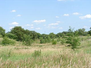 Property photo 1 - NEBRASKA LAND AUCTION - 723+/- ACRES OFFERED IN 5 TRACTS IN HOWARD COUNTY, NEBRASKA