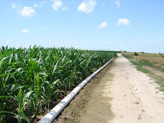 Tract 1 - NEBRASKA LAND AUCTION - 723+/- ACRES OFFERED IN 5 TRACTS IN HOWARD COUNTY, NEBRASKA