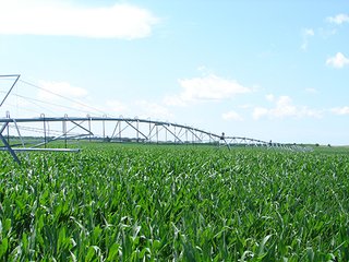 Property photo 38 - NEBRASKA LAND AUCTION - 723+/- ACRES OFFERED IN 5 TRACTS IN HOWARD COUNTY, NEBRASKA