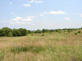 Property photo 42 - NEBRASKA LAND AUCTION - 723+/- ACRES OFFERED IN 5 TRACTS IN HOWARD COUNTY, NEBRASKA