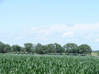 Property photo 22 - NEBRASKA LAND AUCTION - 723+/- ACRES OFFERED IN 5 TRACTS IN HOWARD COUNTY, NEBRASKA