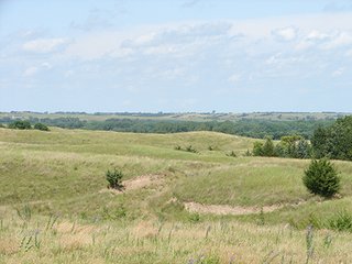 Tract 2 - NEBRASKA LAND AUCTION - 723+/- ACRES OFFERED IN 5 TRACTS IN HOWARD COUNTY, NEBRASKA