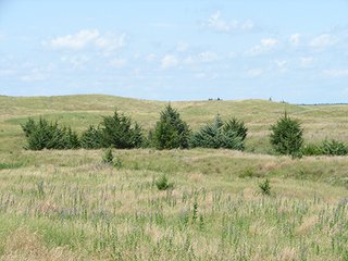 Property photo 28 - NEBRASKA LAND AUCTION - 723+/- ACRES OFFERED IN 5 TRACTS IN HOWARD COUNTY, NEBRASKA