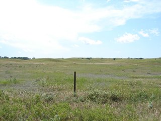 Property photo 18 - NEBRASKA LAND AUCTION - 723+/- ACRES OFFERED IN 5 TRACTS IN HOWARD COUNTY, NEBRASKA