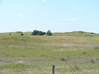 Property photo 34 - NEBRASKA LAND AUCTION - 723+/- ACRES OFFERED IN 5 TRACTS IN HOWARD COUNTY, NEBRASKA