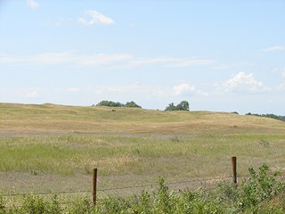 Property photo 46 - NEBRASKA LAND AUCTION - 723+/- ACRES OFFERED IN 5 TRACTS IN HOWARD COUNTY, NEBRASKA