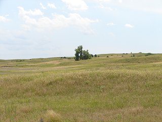 Property photo 21 - NEBRASKA LAND AUCTION - 723+/- ACRES OFFERED IN 5 TRACTS IN HOWARD COUNTY, NEBRASKA