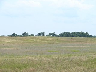 Property photo 17 - NEBRASKA LAND AUCTION - 723+/- ACRES OFFERED IN 5 TRACTS IN HOWARD COUNTY, NEBRASKA