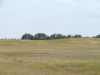 Property photo 43 - NEBRASKA LAND AUCTION - 723+/- ACRES OFFERED IN 5 TRACTS IN HOWARD COUNTY, NEBRASKA